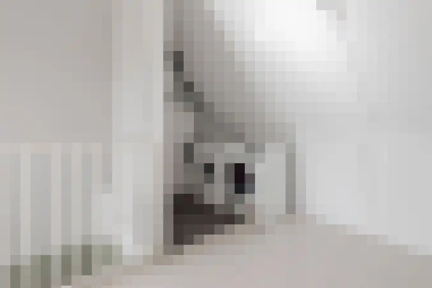 Chabolaan 23 Barneveld thumbnail 34