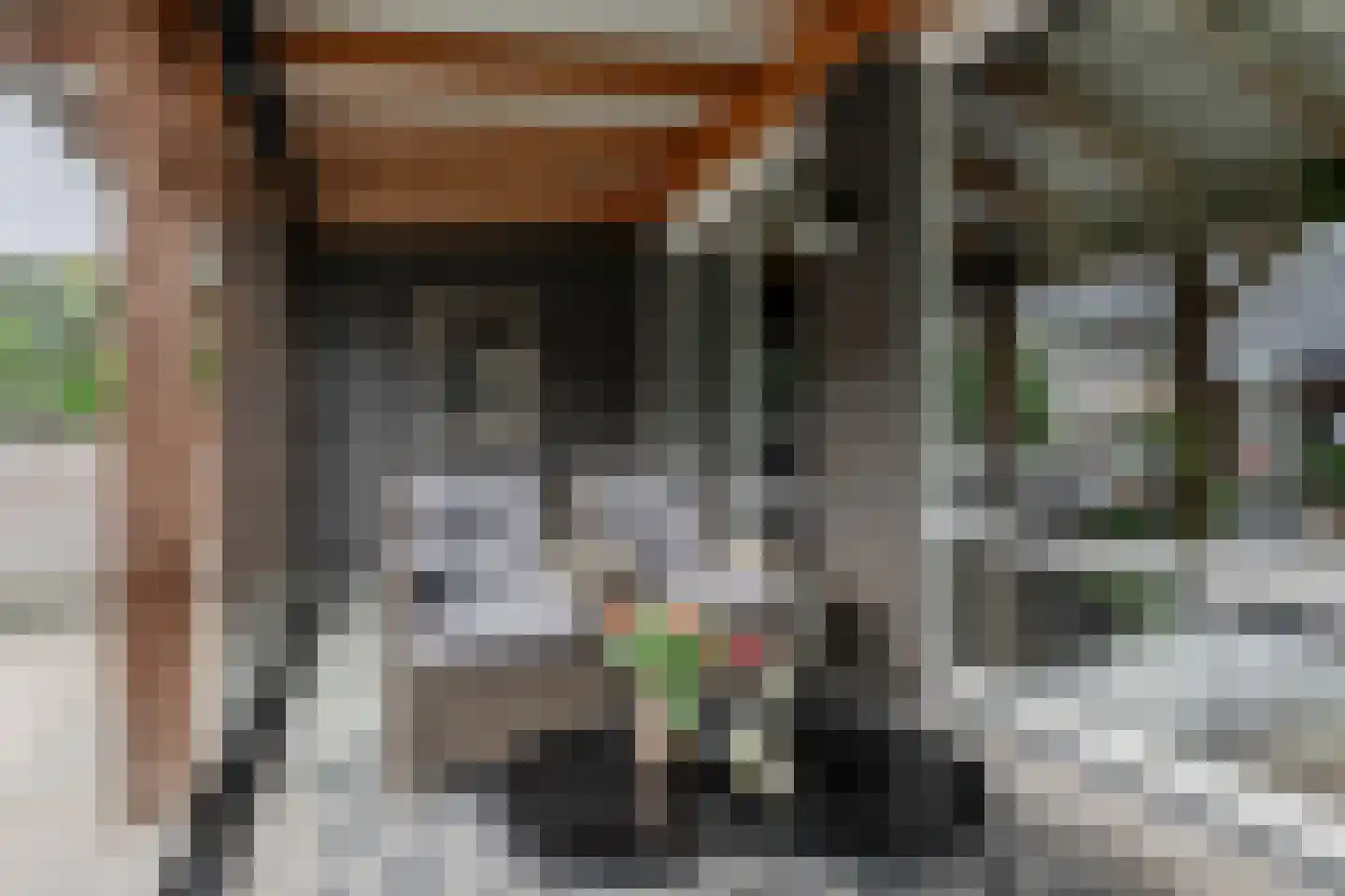 Chabolaan 23 Barneveld thumbnail 39