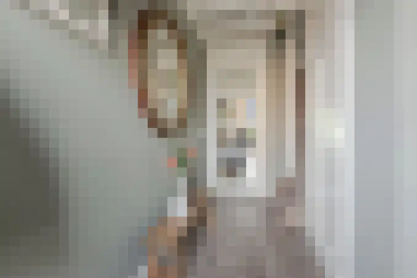 Chabolaan 23 Barneveld thumbnail 5