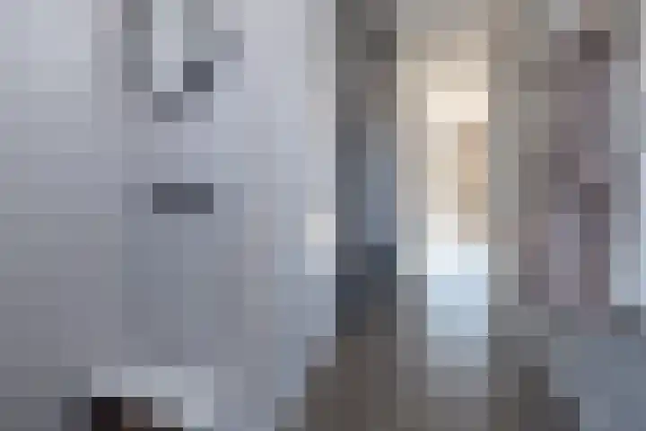 Chabolaan 29 Barneveld thumbnail 13