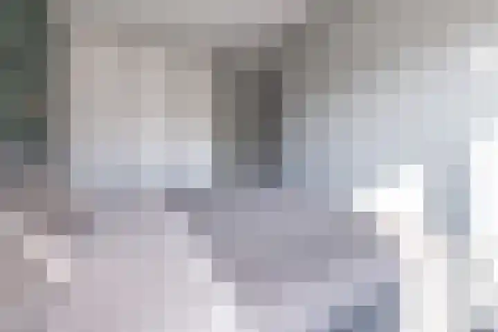 Chabolaan 29 Barneveld thumbnail 15