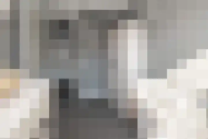 Chabolaan 29 Barneveld thumbnail 17