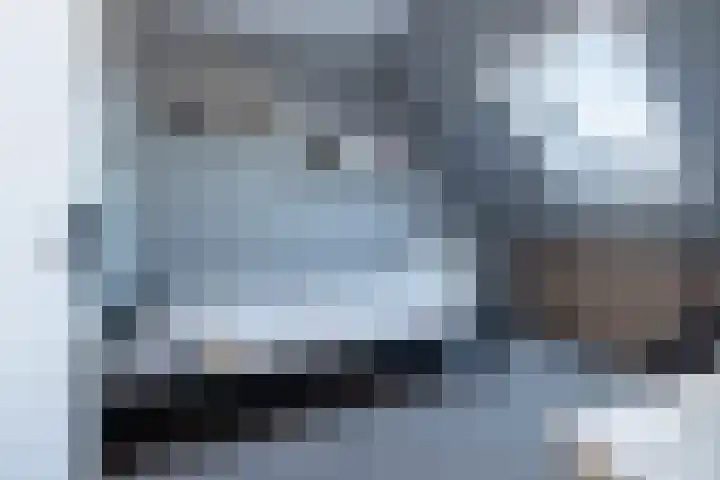 Chabolaan 29 Barneveld thumbnail 25