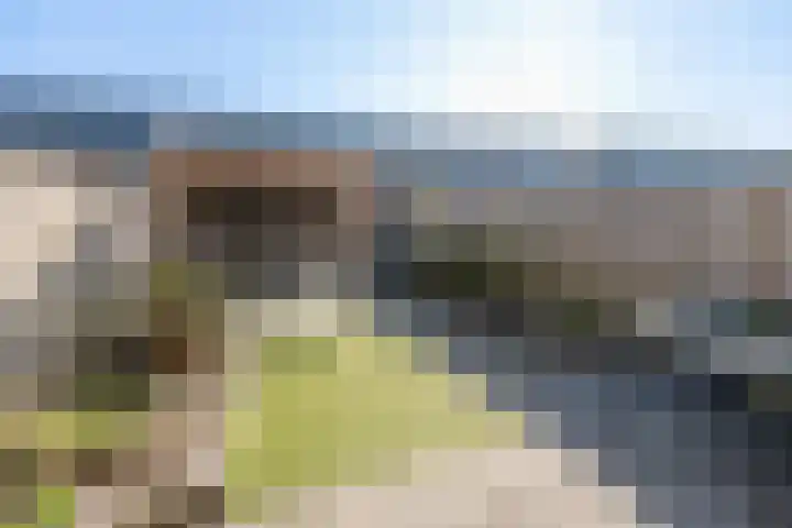Chabolaan 29 Barneveld thumbnail 31