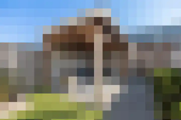 Chabolaan 29 Barneveld thumbnail 34