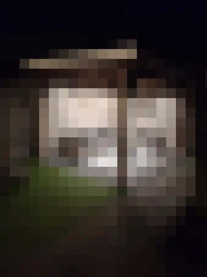 Chabolaan 29 Barneveld thumbnail 35