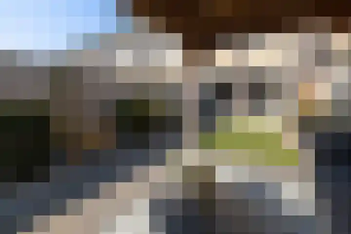 Chabolaan 29 Barneveld thumbnail 36
