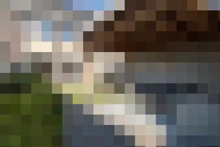 Chabolaan 29 Barneveld thumbnail 37