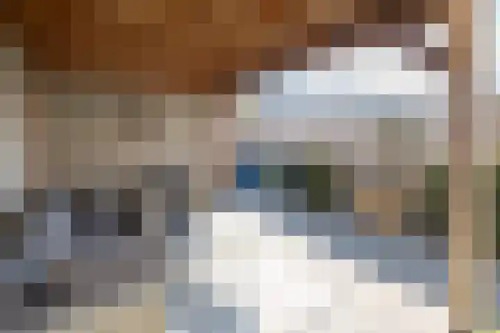 Chabolaan 29 Barneveld thumbnail 39