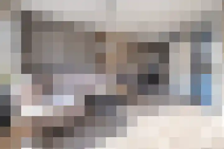 Chabolaan 29 Barneveld thumbnail 4