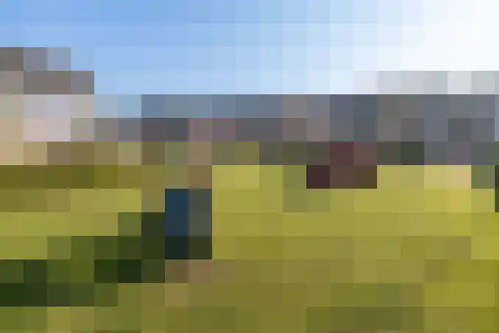 Chabolaan 29 Barneveld thumbnail 46