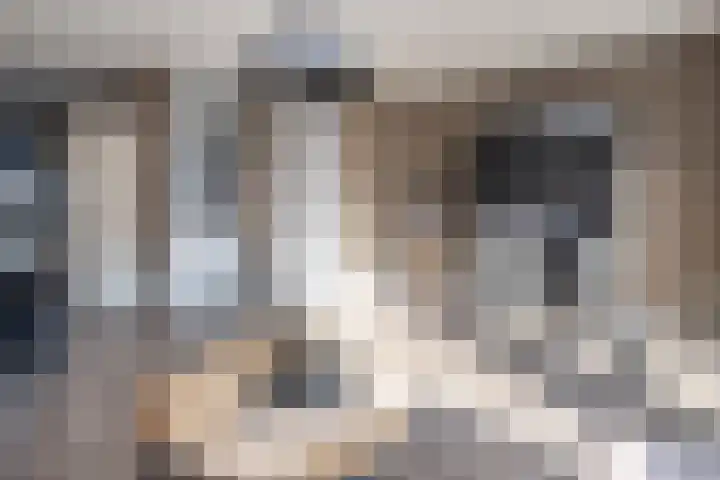 Chabolaan 29 Barneveld thumbnail 5