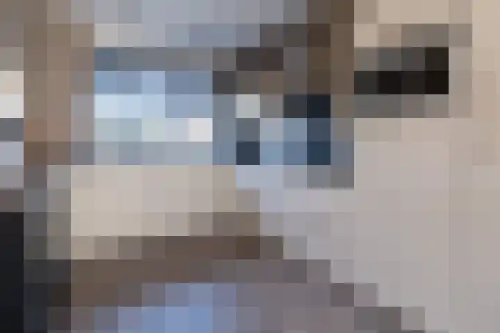Chabolaan 29 Barneveld thumbnail 8