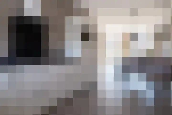 Chabolaan 29 Barneveld thumbnail 9