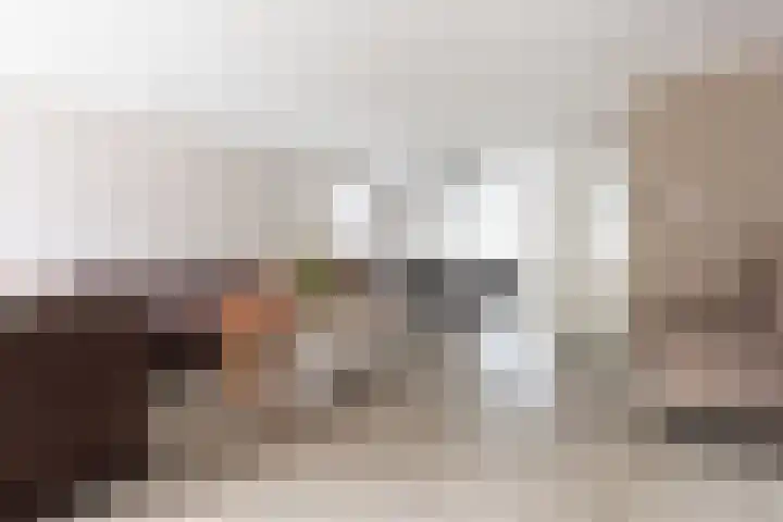 Chabolaan 37 Barneveld thumbnail 12