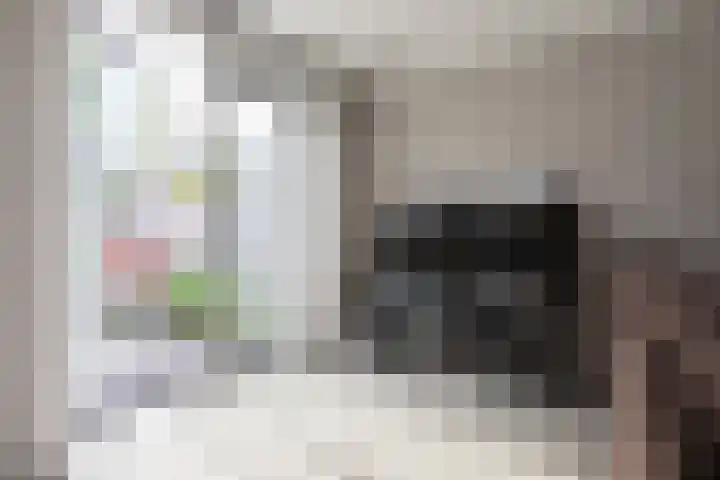 Chabolaan 37 Barneveld thumbnail 13