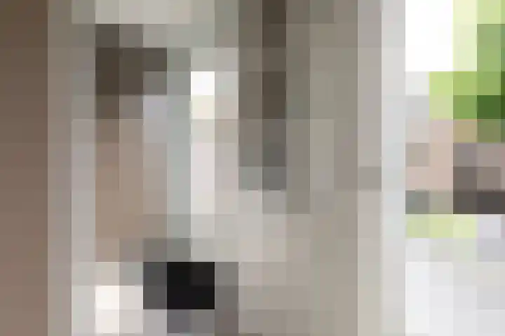 Chabolaan 37 Barneveld thumbnail 15