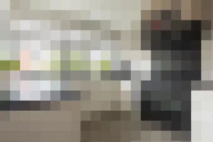 Chabolaan 37 Barneveld thumbnail 19