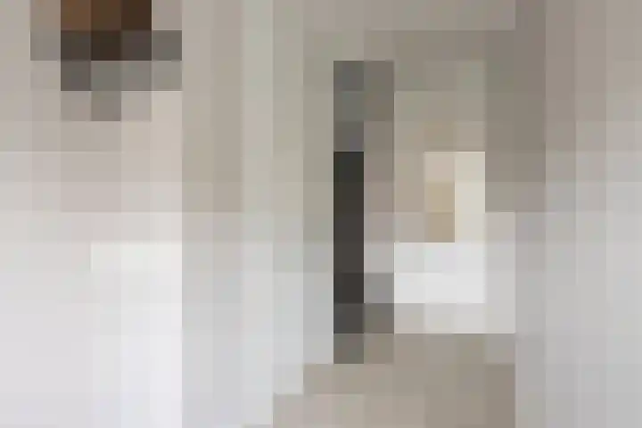 Chabolaan 37 Barneveld thumbnail 20