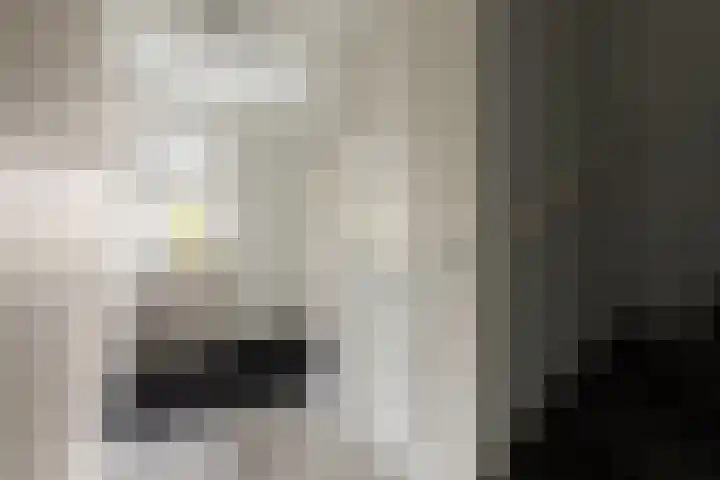 Chabolaan 37 Barneveld thumbnail 21