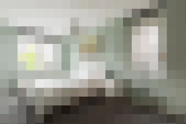 Chabolaan 37 Barneveld thumbnail 23