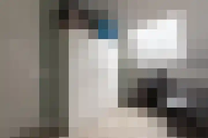 Chabolaan 37 Barneveld thumbnail 34
