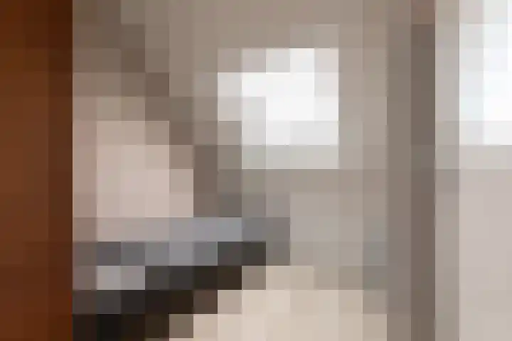 Chabolaan 37 Barneveld thumbnail 37