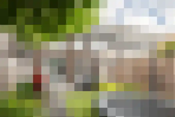 Chabolaan 37 Barneveld thumbnail 4