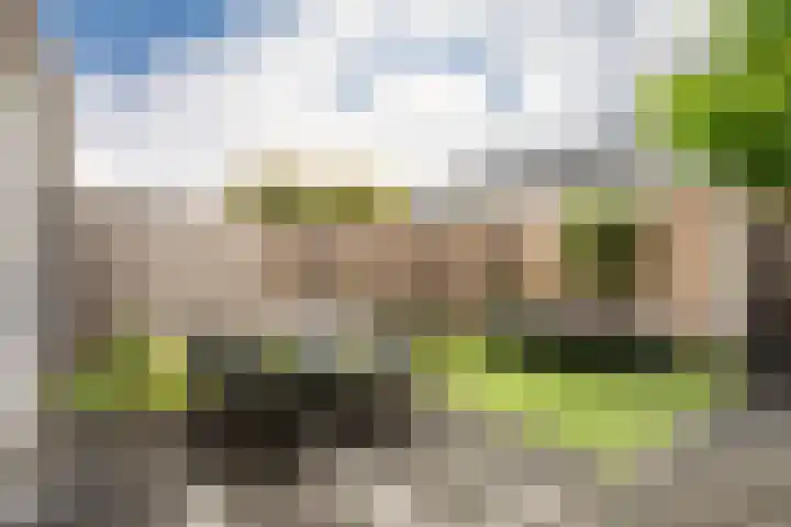 Chabolaan 37 Barneveld thumbnail 40