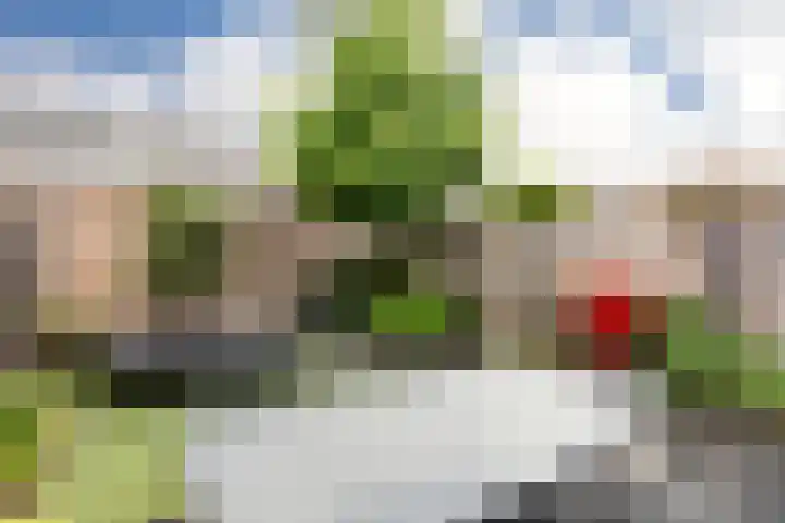 Chabolaan 37 Barneveld thumbnail 41