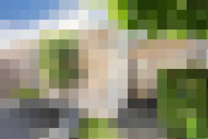 Chabolaan 37 Barneveld thumbnail 42