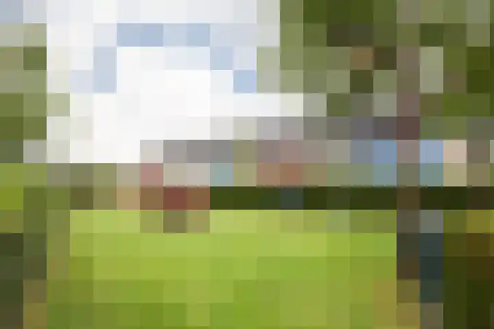 Chabolaan 37 Barneveld thumbnail 46