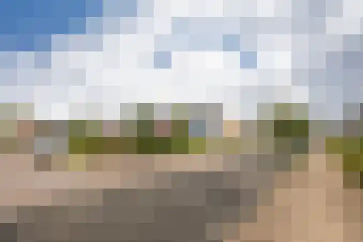 Chabolaan 37 Barneveld thumbnail 8