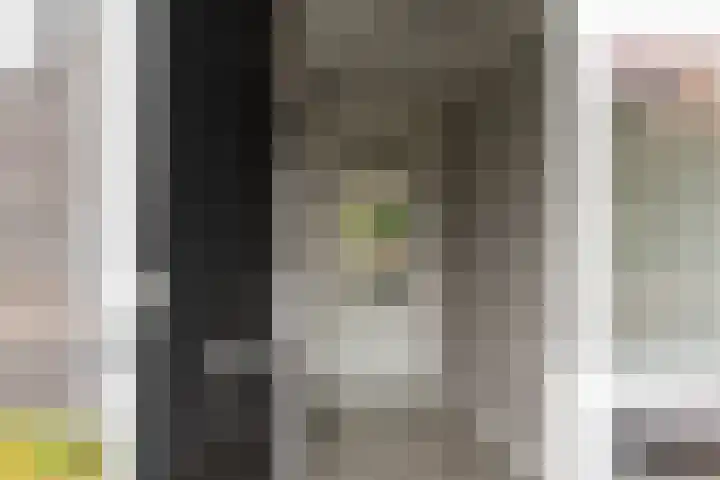 Chabolaan 37 Barneveld thumbnail 9