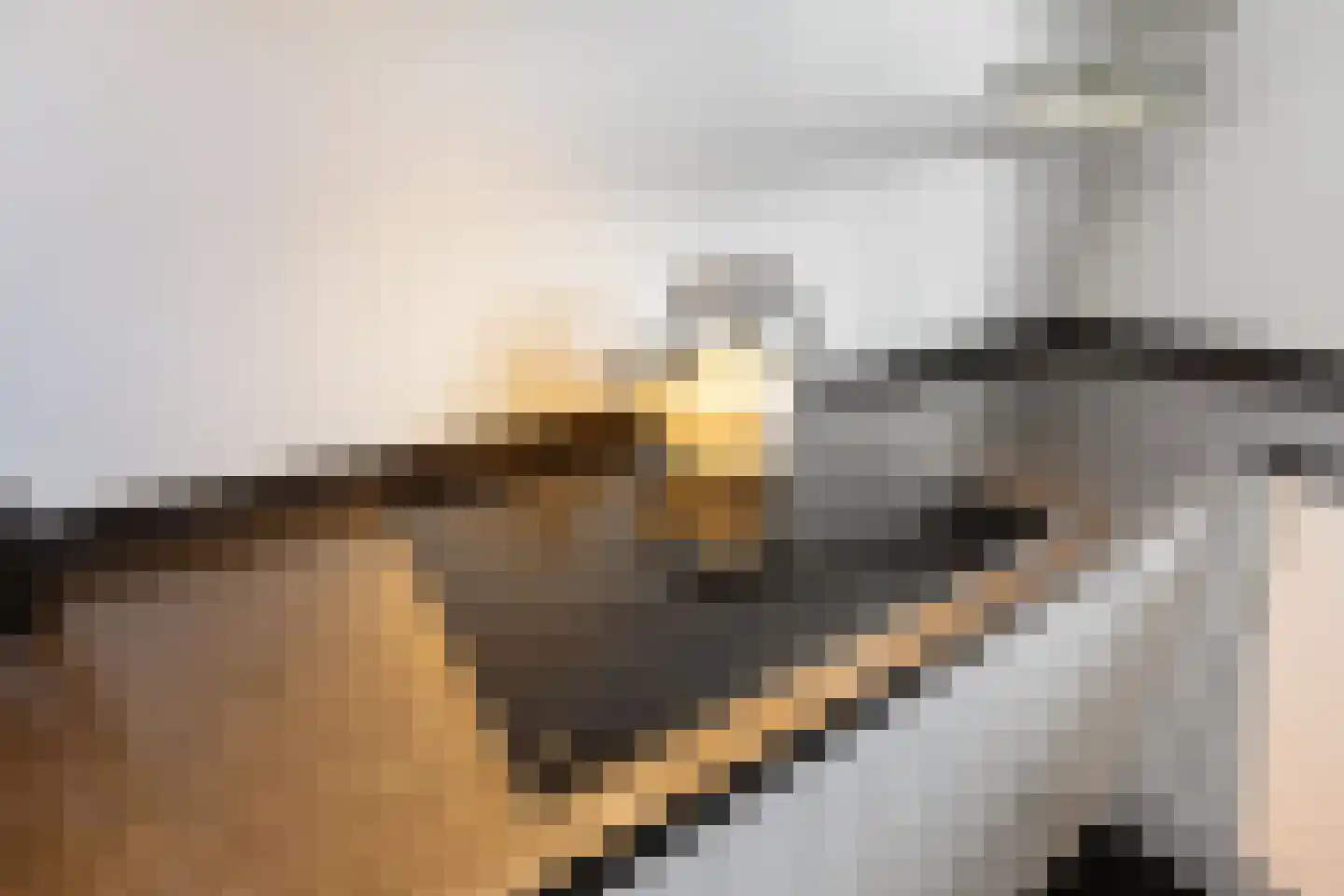Chabolaan 47 Barneveld thumbnail 14