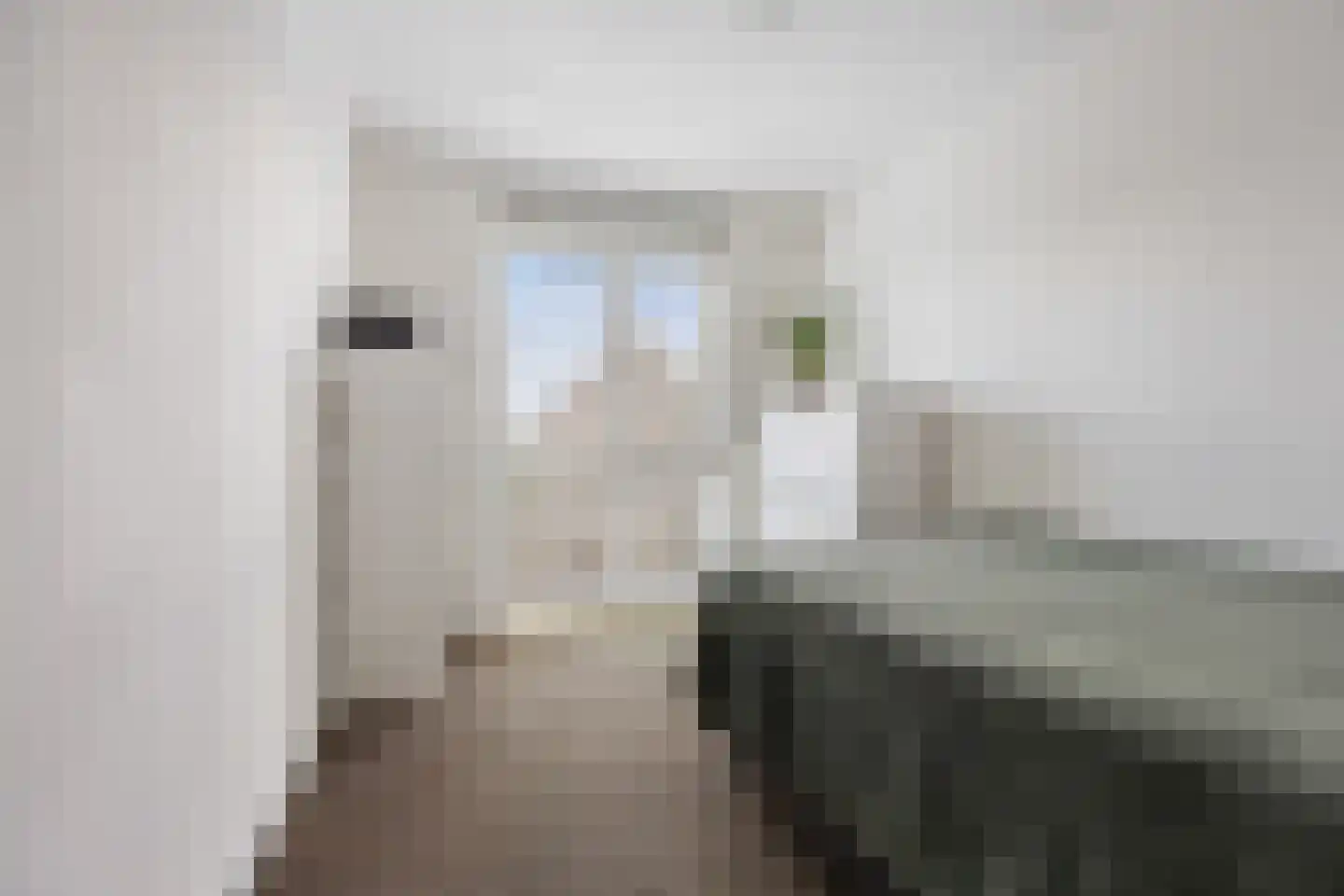 Chabolaan 47 Barneveld thumbnail 21