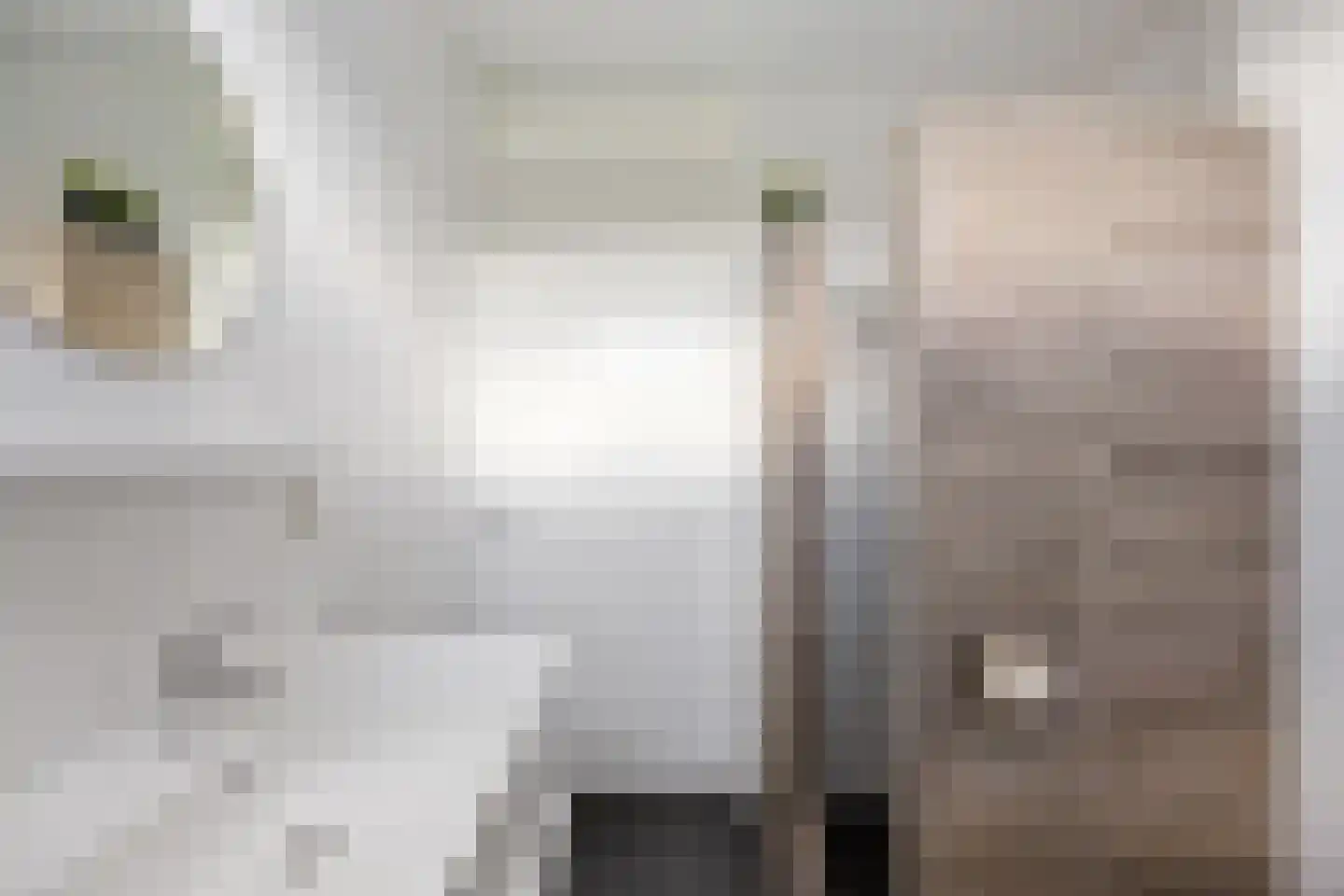 Chabolaan 47 Barneveld thumbnail 25