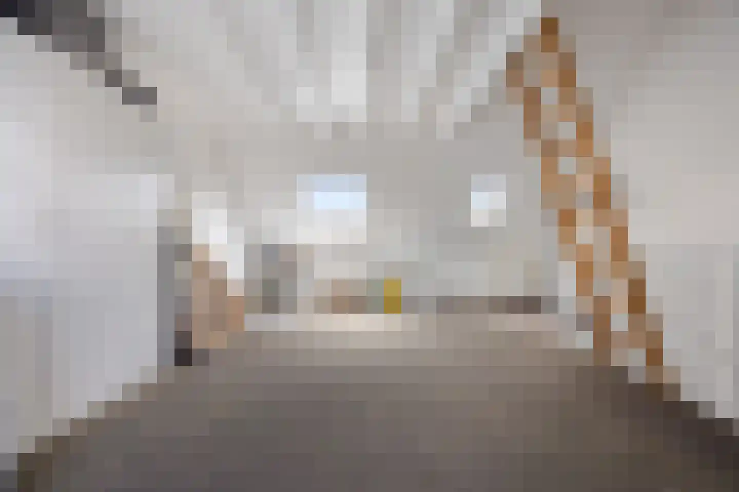 Chabolaan 47 Barneveld thumbnail 28