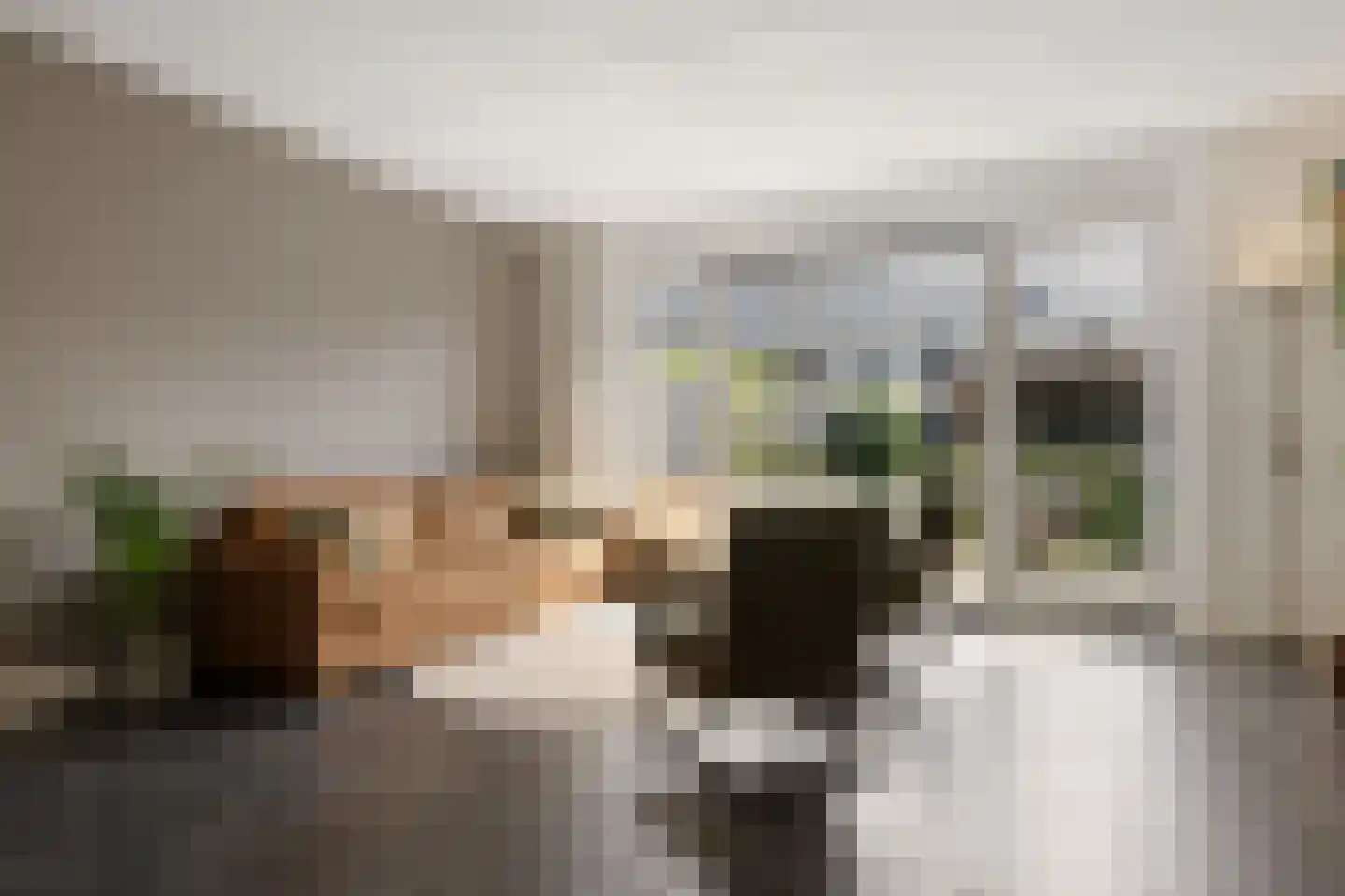 Chabolaan 47 Barneveld thumbnail 8