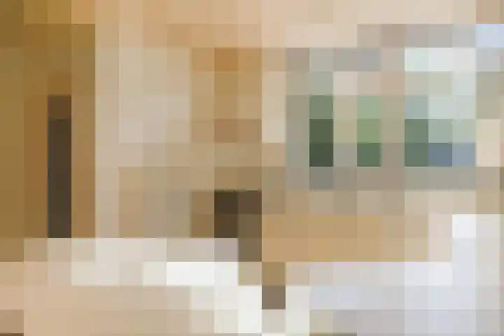 Chabothof 8 Nijkerk thumbnail 11