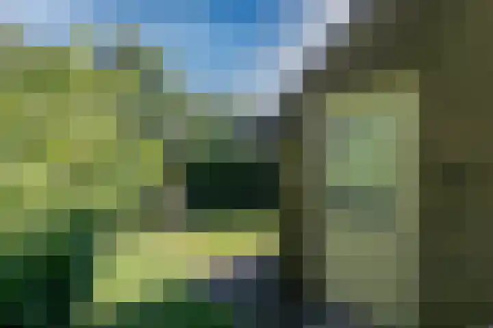 Chabothof 8 Nijkerk thumbnail 30