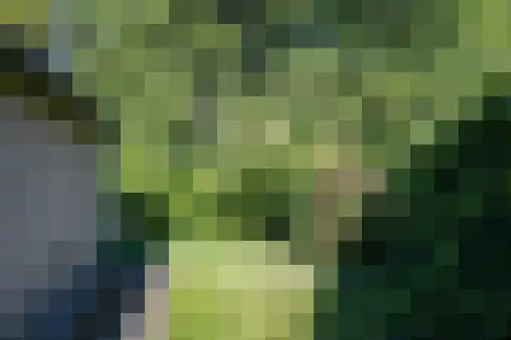 Chabothof 8 Nijkerk thumbnail 32