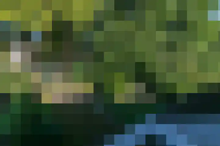 Chabothof 8 Nijkerk thumbnail 33