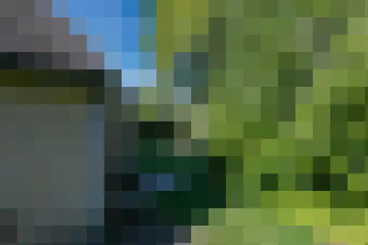 Chabothof 8 Nijkerk thumbnail 34