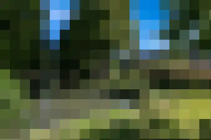 Chabothof 8 Nijkerk thumbnail 36