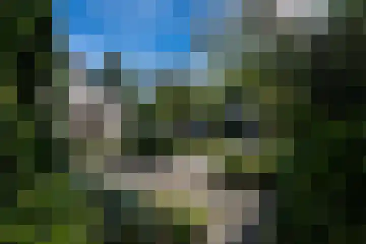 Chabothof 8 Nijkerk thumbnail 38