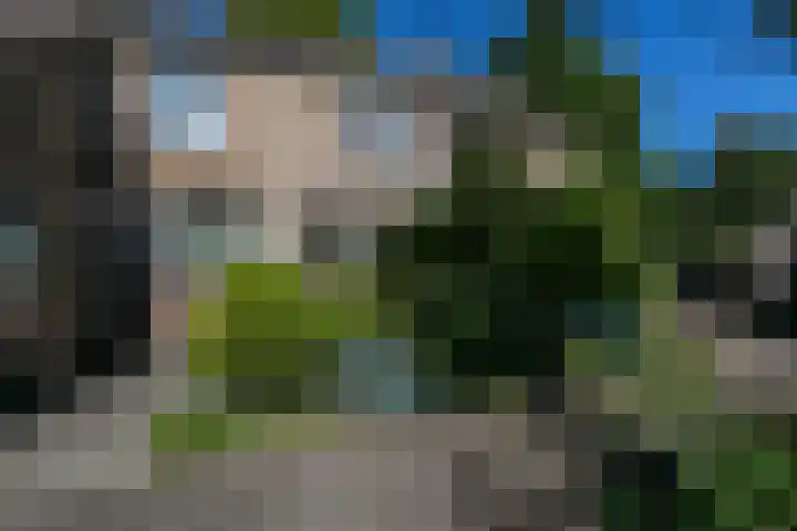 Chabothof 8 Nijkerk thumbnail 39