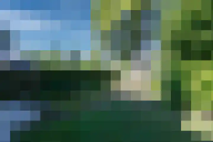 Chabothof 8 Nijkerk thumbnail 4