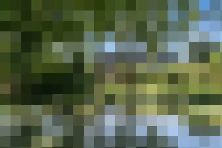 Chabothof 8 Nijkerk thumbnail 5