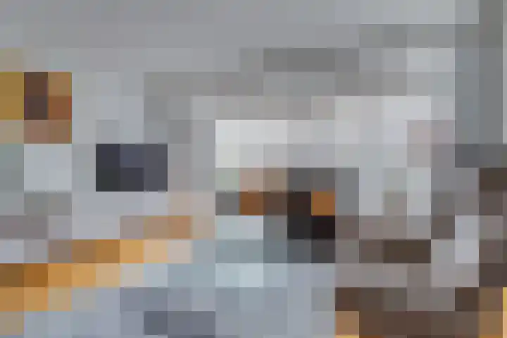 Chabotlaan 10 Nieuwegein thumbnail 10